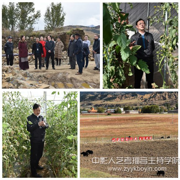 校黨委常委、副校長高中偉查看四川師范大學投資援建的蔬菜大棚生產基地和四川師范大學生態農場