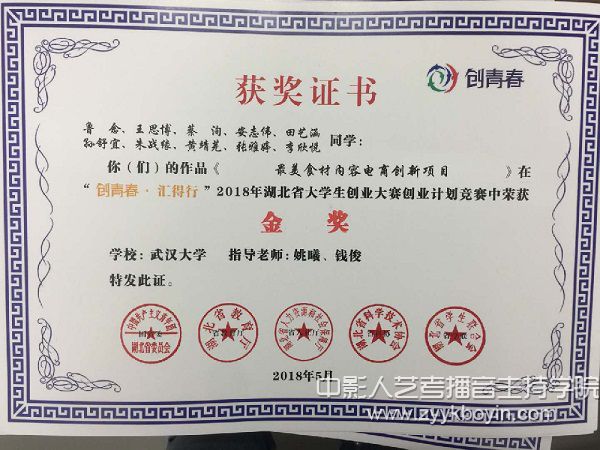 湖北省大學(xué)生創(chuàng)業(yè)大賽金獎(jiǎng)證書(shū).jpg